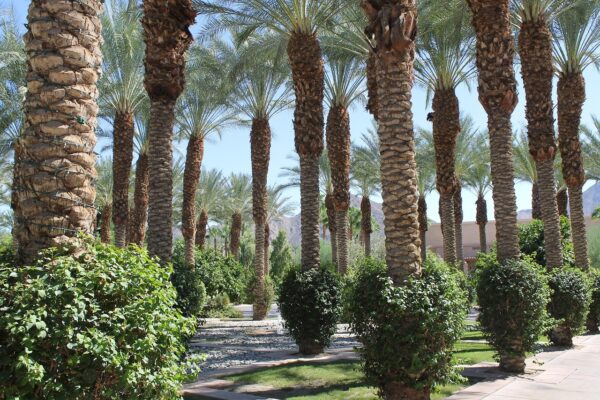 Voyage Entreprise À Marrakech – Image 7