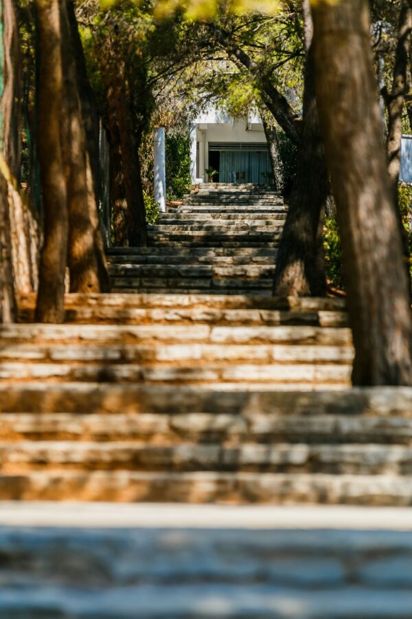 Voyage Entreprise Croatie - Seget Donji (Trogir) – Image 5